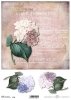Papier decoupage Hydrangea*Papír decoupage Hydrangea*Hortensia papel decoupage